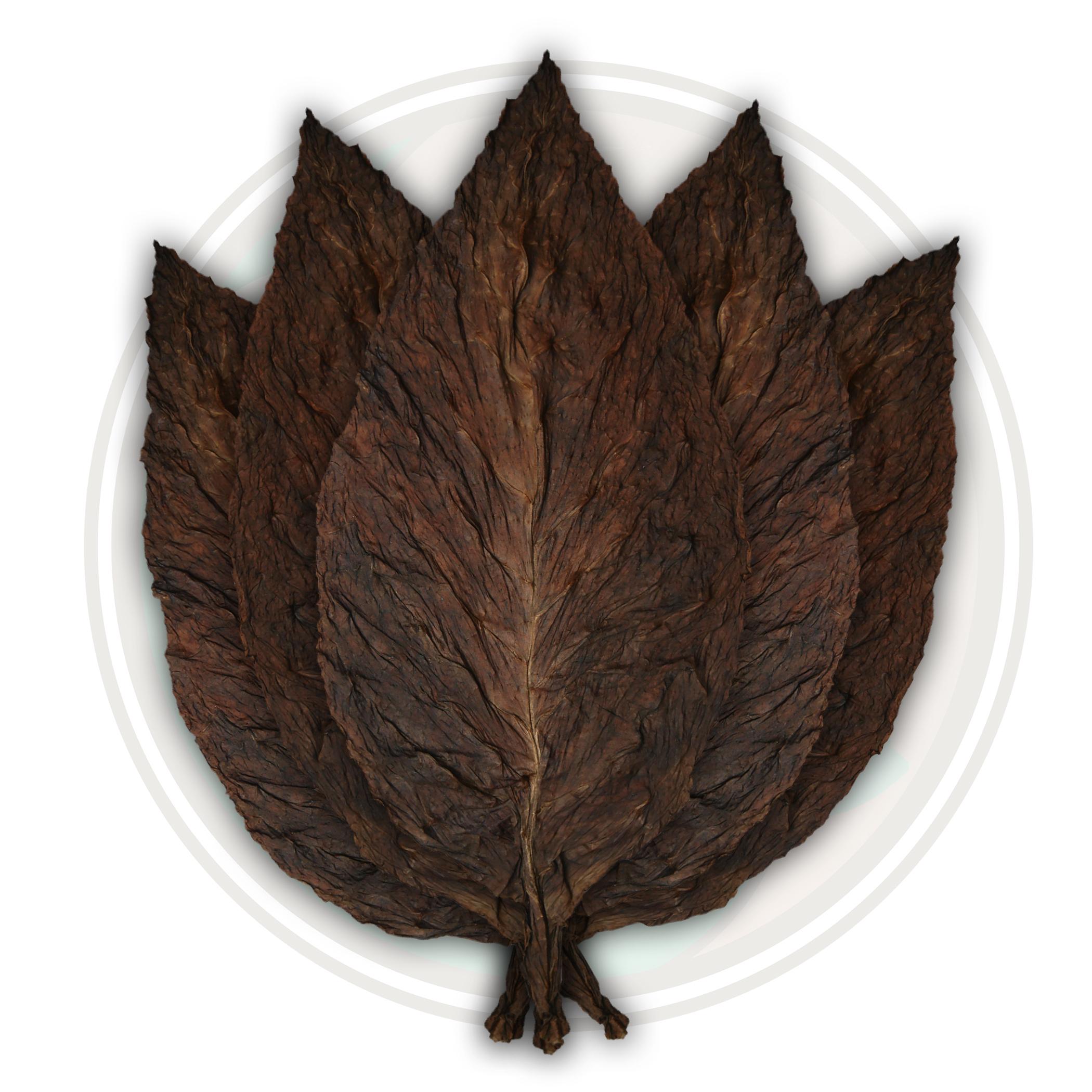 Dark Fire Cured Cigar Wrapper Fronto Grabba Tobacco Leaf Dark Fire Cured Cigar Wrapper Fronto Grabba Tobacco Leaf